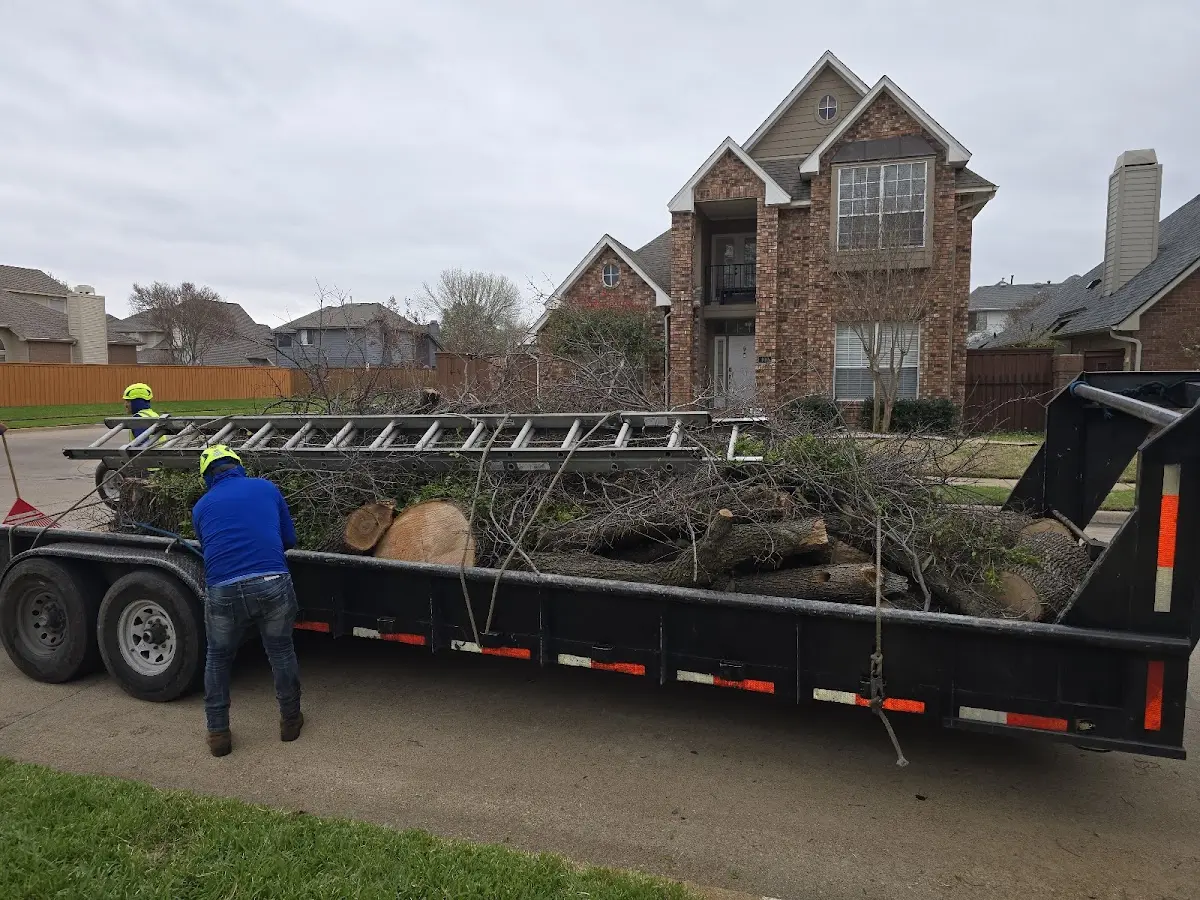 Expert Lot Clearing with proper safety equipment in Ellsinore